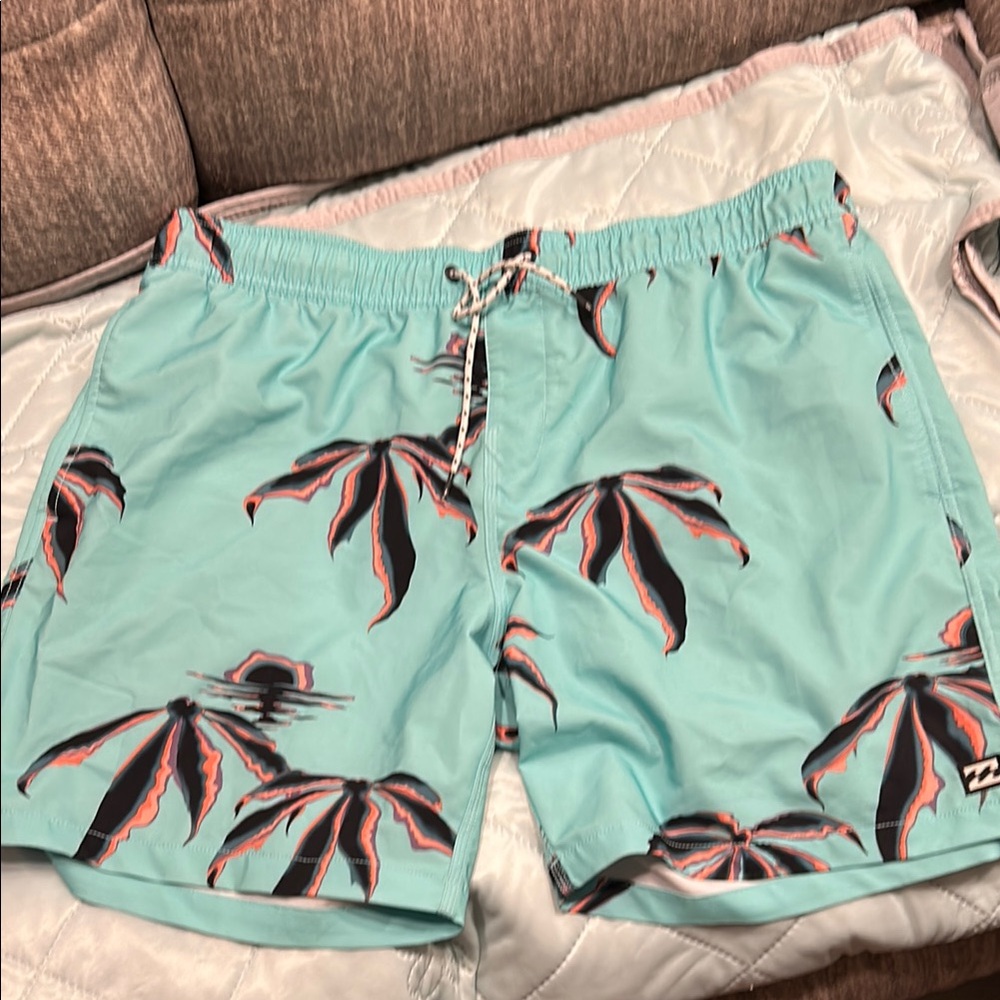 Billabong Blue Board Shorts Quick-Dry Swimwear